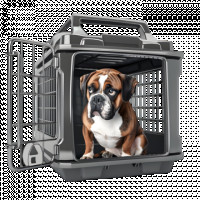 dogcarrier5