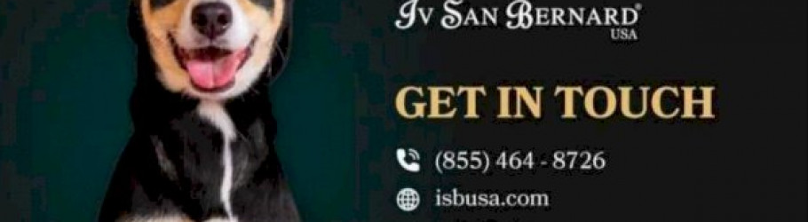 isbusa
