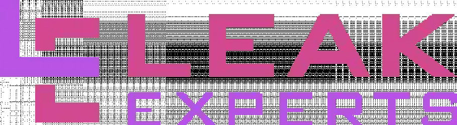 leakexperts