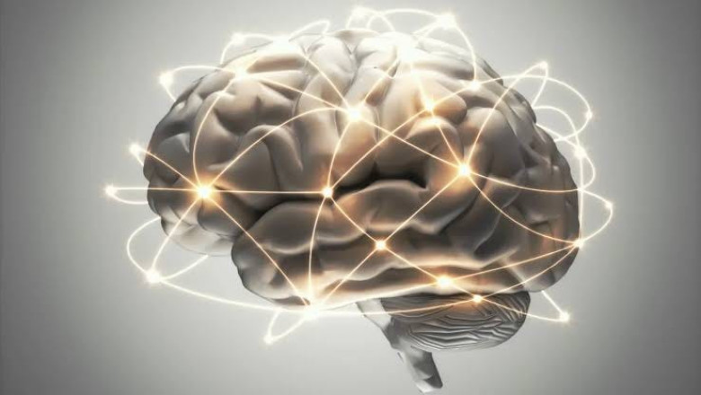 Caroline Goldsmith | ATC Ireland Psychologist: Understanding the Link Between Stress and Physical Health