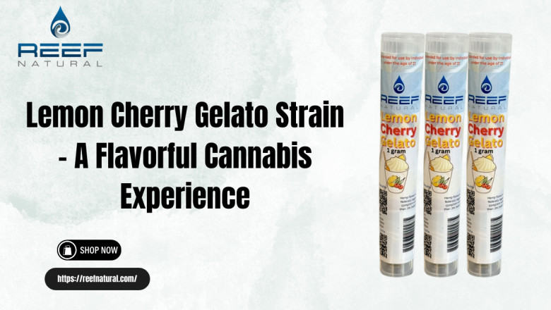 Lemon Cherry Gelato Strain – A Flavorful Cannabis Experience