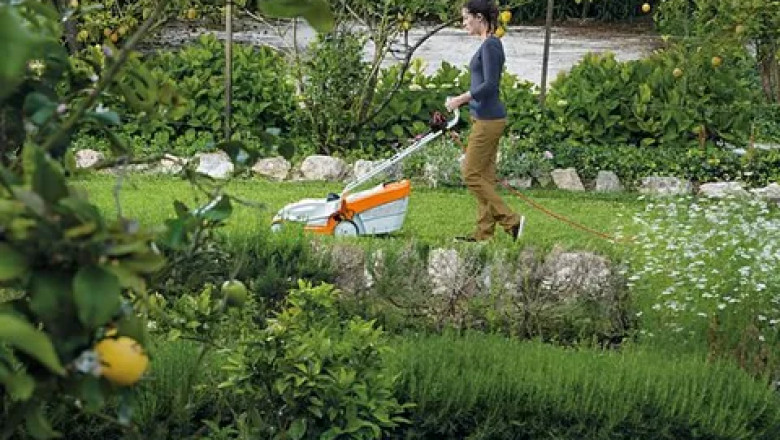 The Step-by-Step Guide to Professional Sod Installation