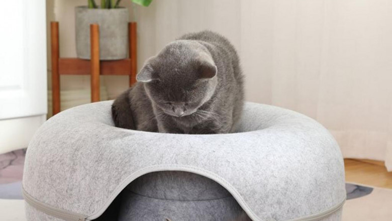 How Tunnel Beds Are Keeping Cats Happy and Entertained