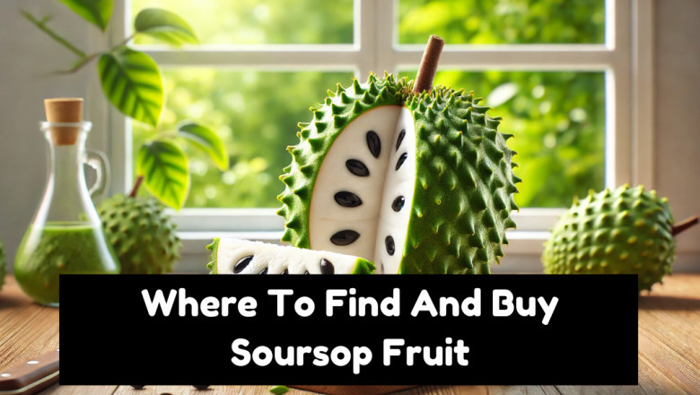 Where To Find And Buy Soursop Fruit: A Guide for Enthusiasts