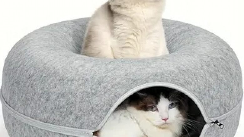 Why Round Cat Tunnel Beds Are a Must-Have for Cat Parents