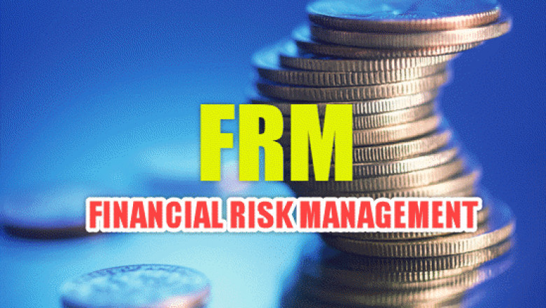 Why Hiring a Financial Risk Manager Will Protect Business Assets?