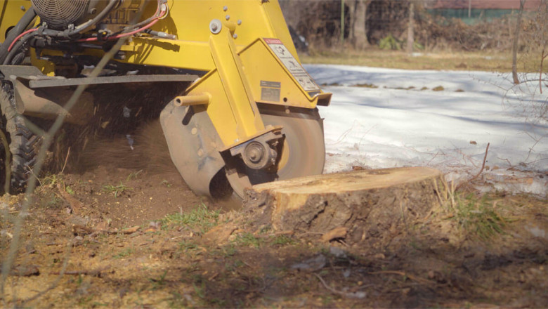 The Importance of Professional Stump Removal for a Safe and Healthy Landscape