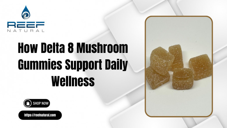 How Delta 8 Mushroom Gummies Support Daily Wellness