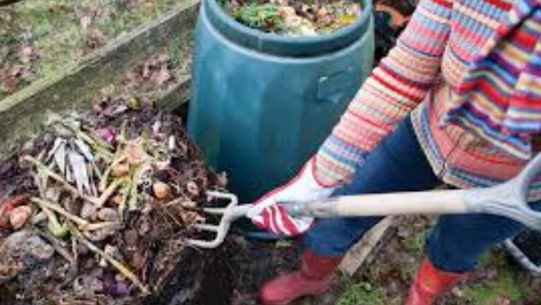 From Garden Waste to Green Gold: Transforming Debris into Valuable Resources