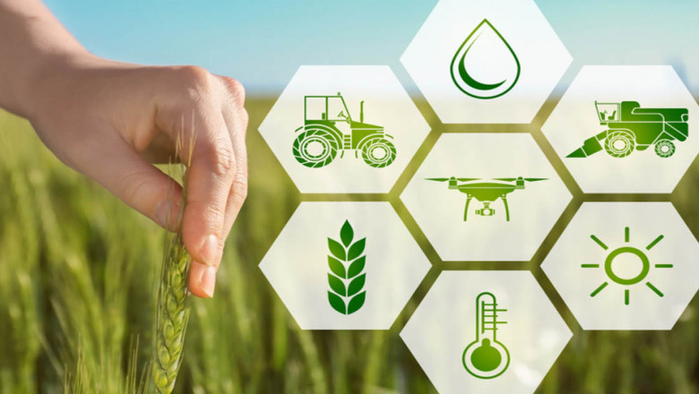 What is Cartap? Understanding This Powerful Insecticide and Its Uses in Agriculture