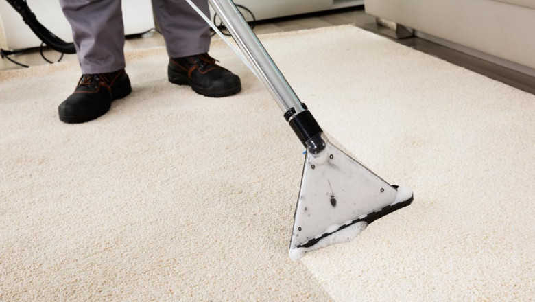 Why Carpet Cleaning in Rose Is Essential for a Healthy Home