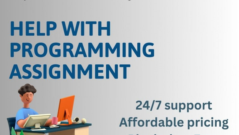 Freelancers vs. Online Tutors: Which is Best for Coding Assignments?