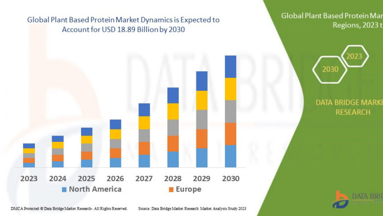 Plant Based Protein Market Size Analysis Report, Share, Trends, Growth and Competitive Analysis