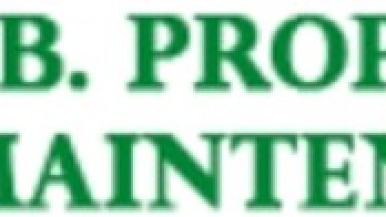How to Choose the Right Tree Surgeon in Galway for Your Property