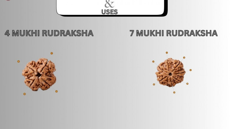 4 and 7 Mukhi Rudraksha: Benefits, Uses and Wearing Guide