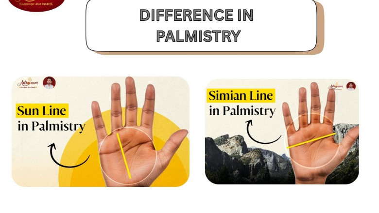 Sun Line and Simian Line: Key Differences in Palmistry