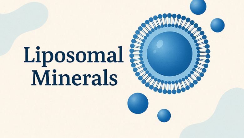What Are Liposomal Minerals and Why Do They Matter?