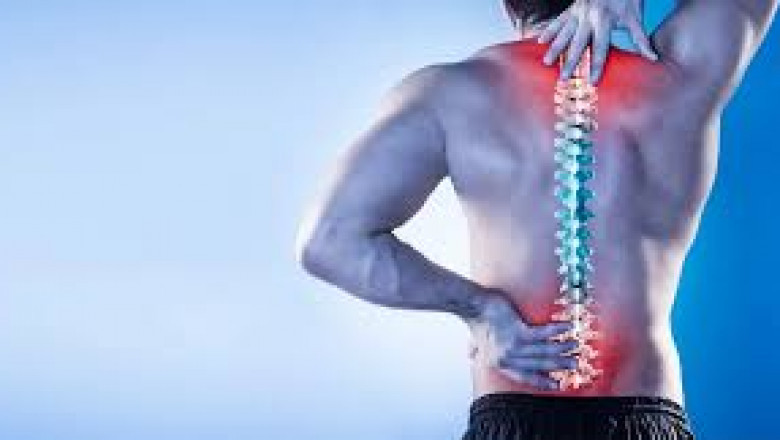 Understanding Back Pain: Causes, Symptoms, and Treatment Options