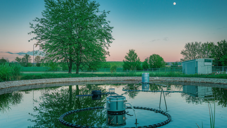 Best Pond Filters to Keep Your Water Crystal Clear