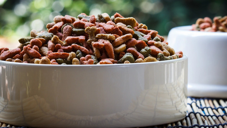 Where to Buy Premium Pet Food in Sun City Center