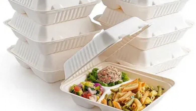 Top Eco-Friendly Brands Using Molded Fiber Food Containers