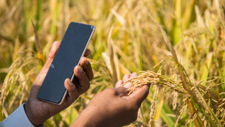Top Farmer Apps to Simplify Modern Farming and Boost Yields
