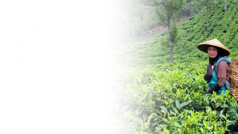 Easy Access to Personal Loans in Assam