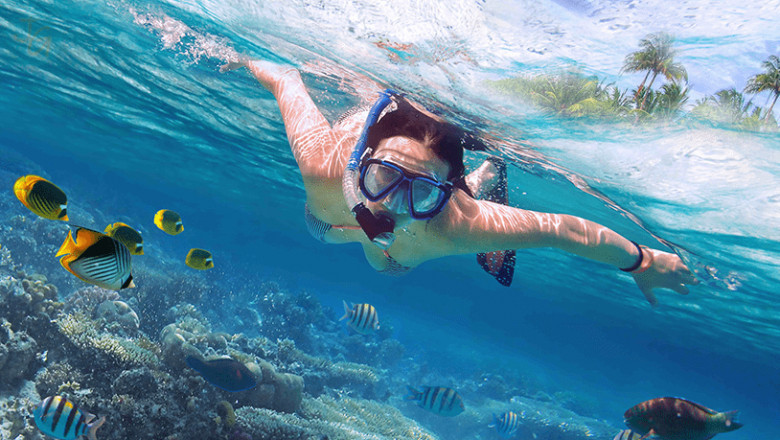 Water Sports in Goa: The Ultimate Guide to Thrill and Fun