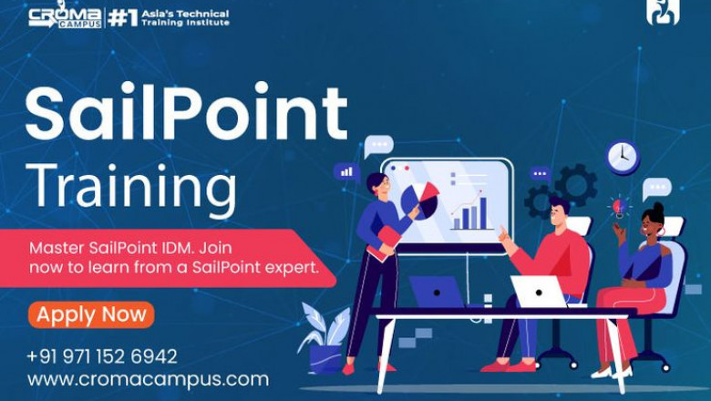 What is Non-Employee Risk Management in Sailpoint?