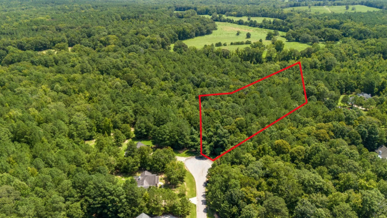 Michigan’s Land Market 2025 Tips for Land Sellers Looking to Close Fast