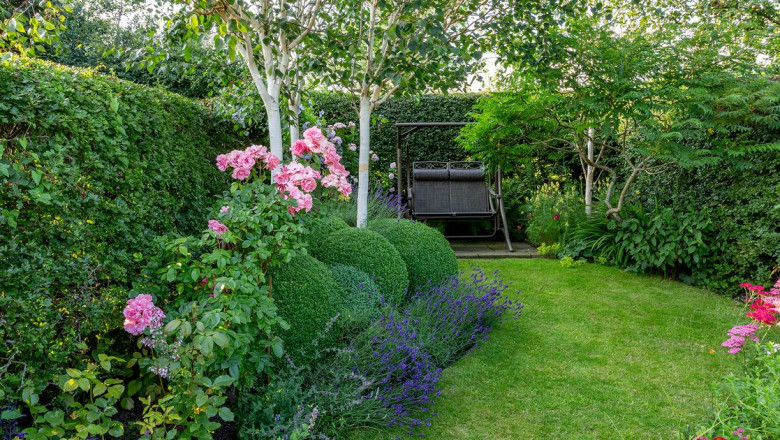 Why Spring Is the Best Time to Schedule Your Lawn Mowing in Surrey