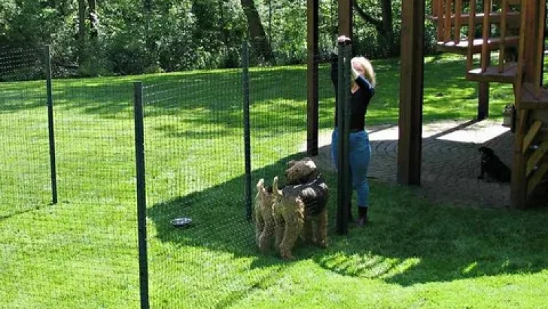 Why Vets Recommend Non Electric Dog Fence Installers More