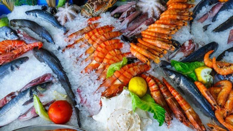 The Rising Tide of Seafood Suppliers in the UAE: Trends, Players, and Opportunities