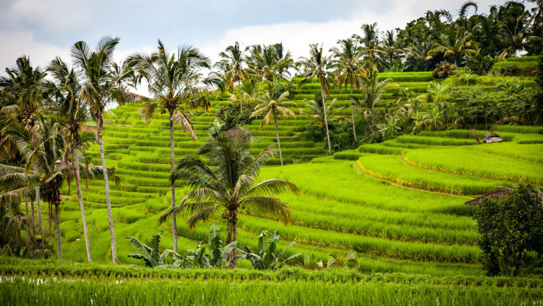 Tripkaro’s Bali Bucket List | Best Tours, Tips & Travel Ideas