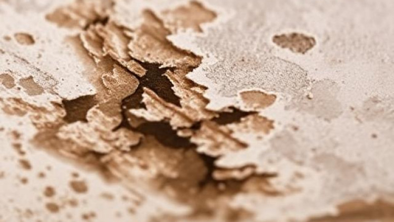 How to Test Indoor Air for Mold?