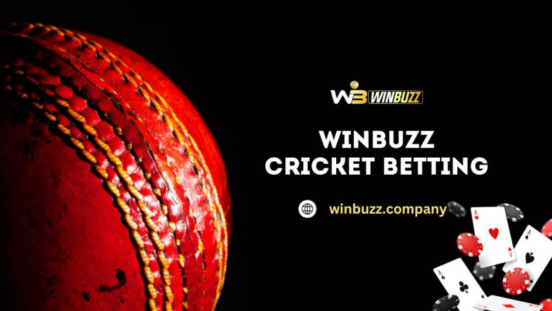 Why Winbuzz Is the Go-To Platform for IPL Enthusiasts in 2025