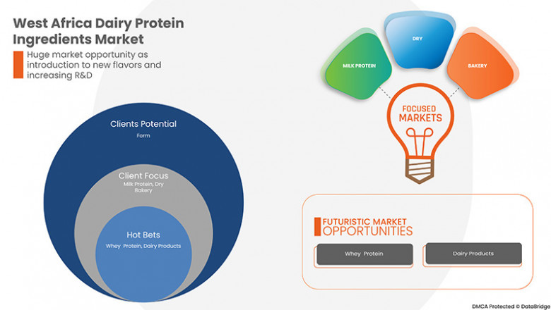 West Africa Dairy Protein Ingredients Market, Size, Share Trends, Growth Opportunities and Industry