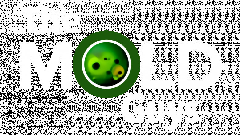 Reliable Mold Removal & Remediation – Keep Your Home Safe & Healthy