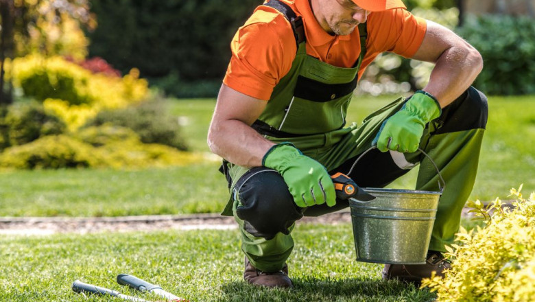 HOA Landscape Master Planning: A Proactive Approach to Long-Term Value