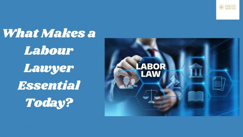What Makes a Labour Lawyer Essential Today?