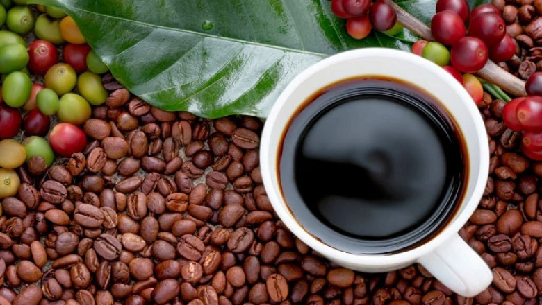 Organic Coffee Manufacturing Plant Setup 2025, Project Report, Machinery Cost and Business Plan