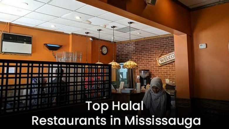Family-Friendly Halal Eating Place in Mississauga You Should Visit