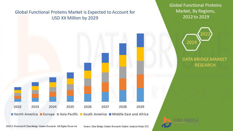 Functional Proteins Market Size & Analysis: Growth Potential and Key Drivers
