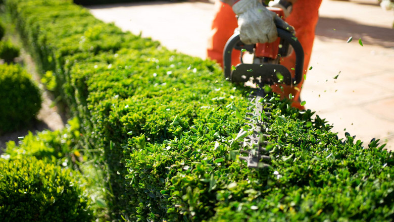 Landscape Maintenance Services in Spanish Fork, UT