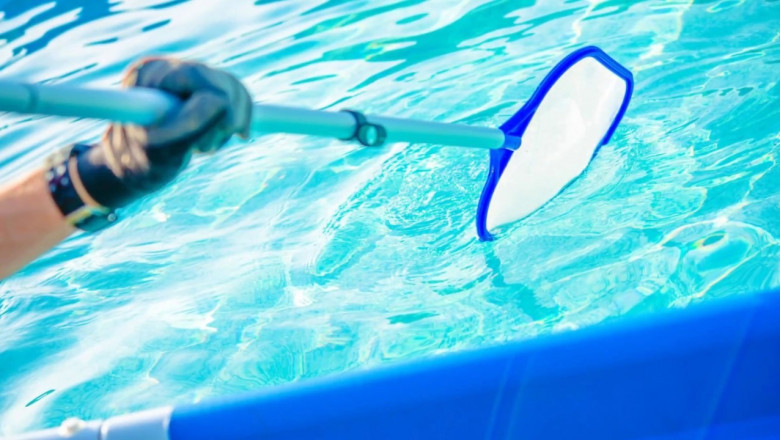 How Best Pool Services Solve Green Algae Emergencies