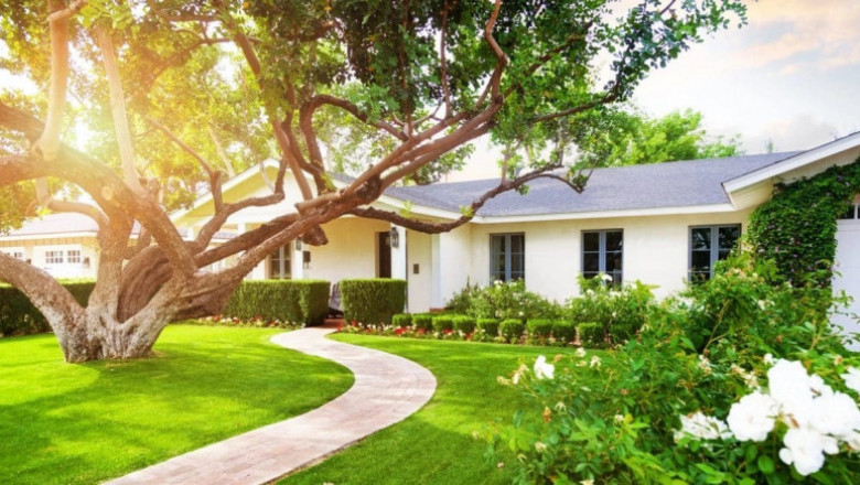 Top Factors to Consider When Picking a Tree in Wheaton