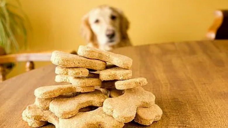Do Natural Treats Help with Pet Anxiety? What Science Says