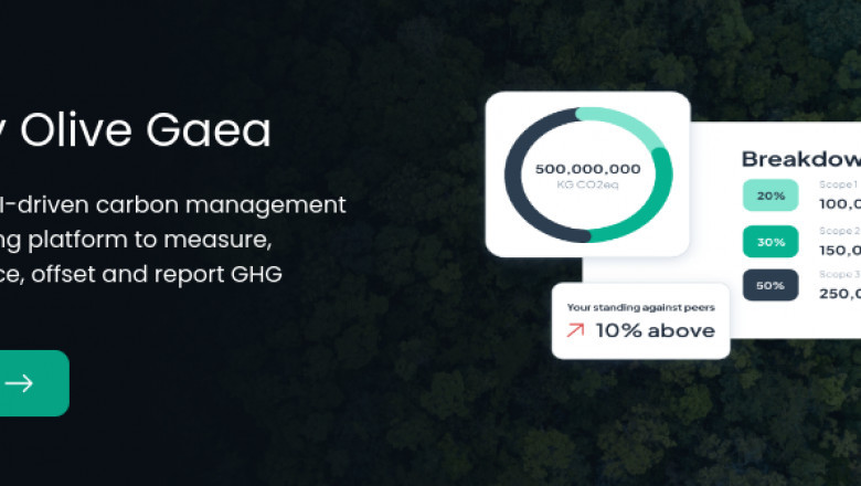Accelerate Net Zero with Smart Transition Financing Plans