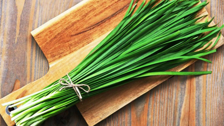 Chives Processing Plant Setup Report 2025: Unit Operations, Machinery Requirements and Cost Analysis