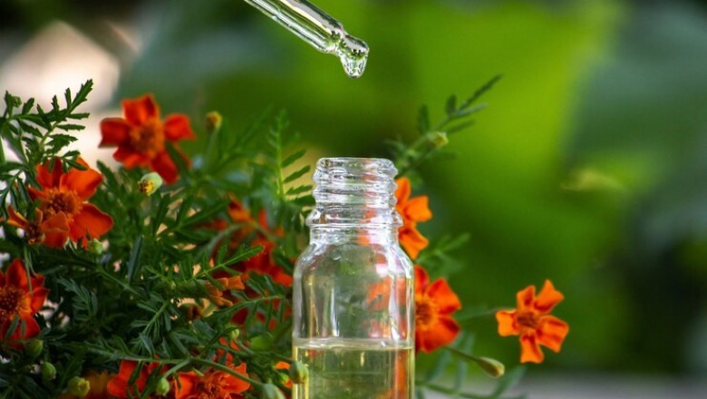 Cistus Oil Processing Plant Report 2025: Comprehensive Business Plan and and Raw Materials Cost
